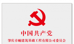 中共四会市东城街道工作委员会党工委到访我公司指导交流党建工作